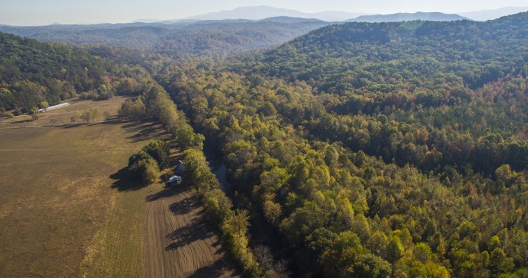 VW Helped Purchase Land for Cherokee National Forest