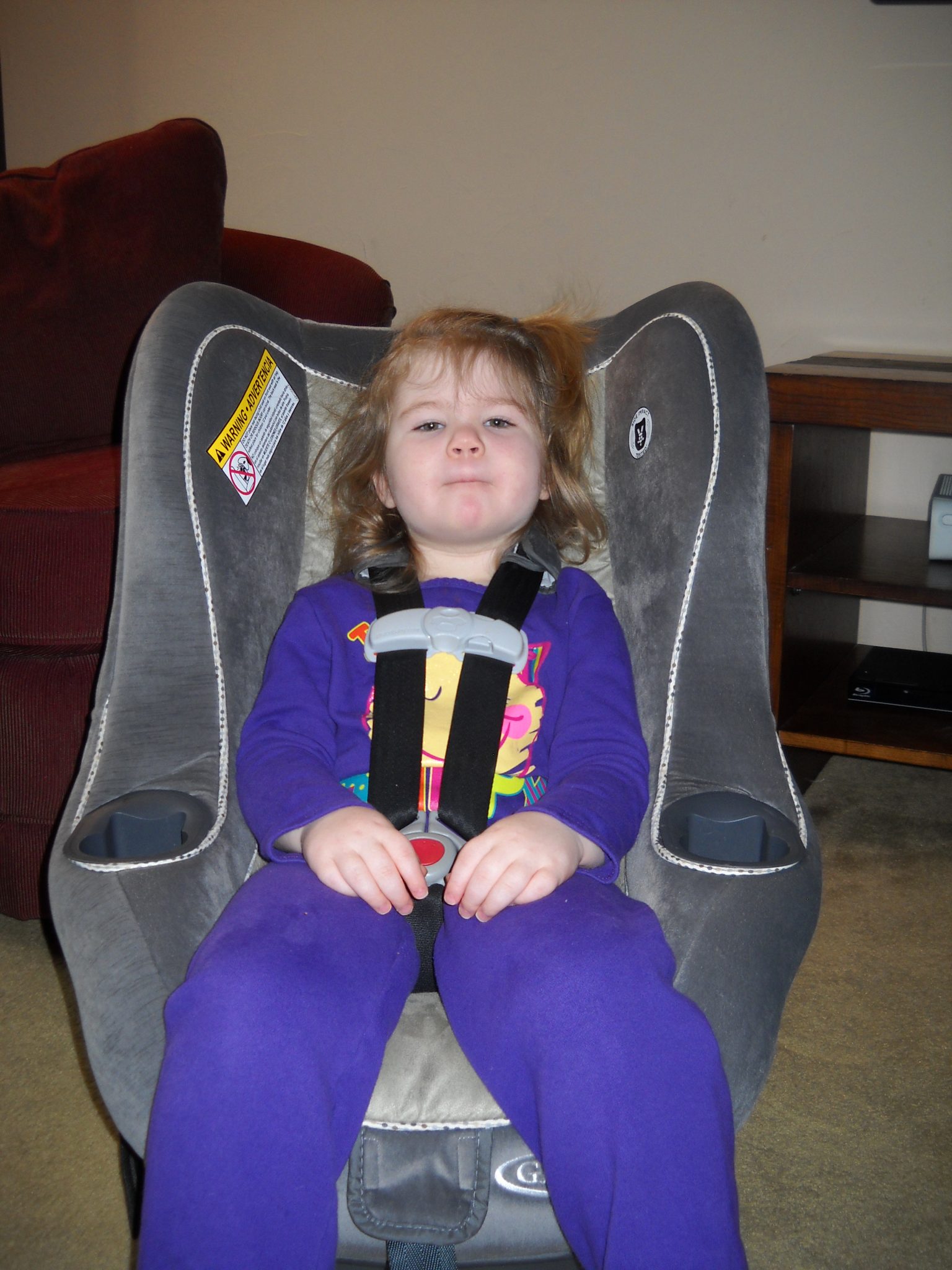 Graco My Ride 65 My Ride 70 Car Seat Review - The News Wheel