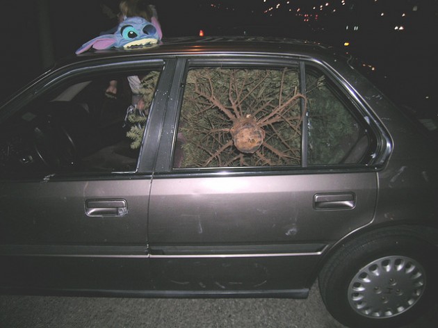 Christmas tree on car