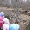 Toyota Indiana afforestation project