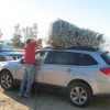 how to haul christmas tree