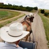 Amish buggy in hit-and-run