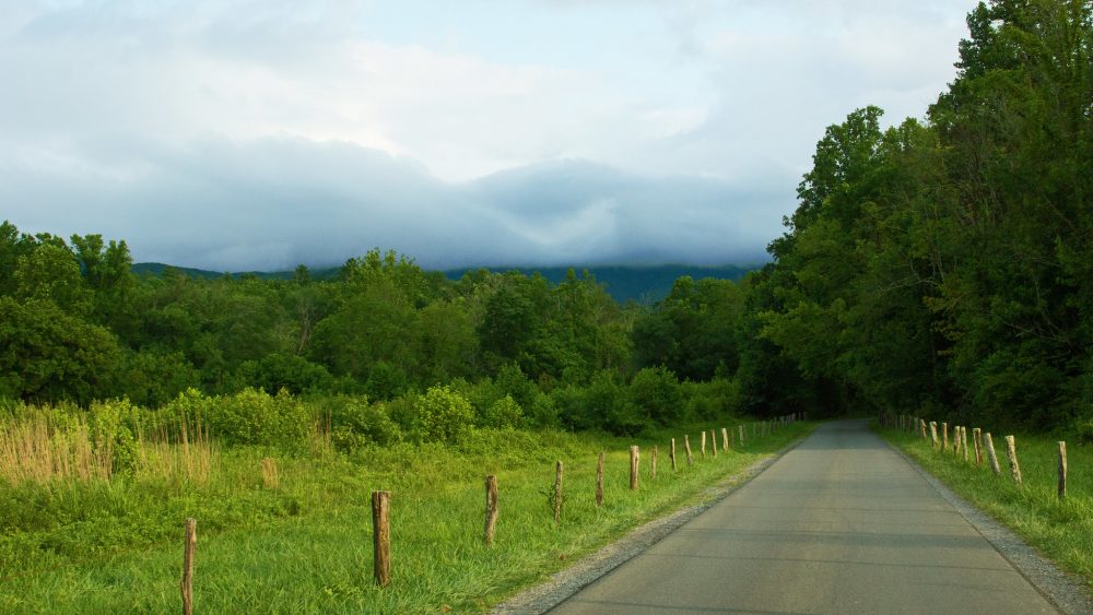 View from Cades Cove Loop Road, Great Smoky Mountains National Park