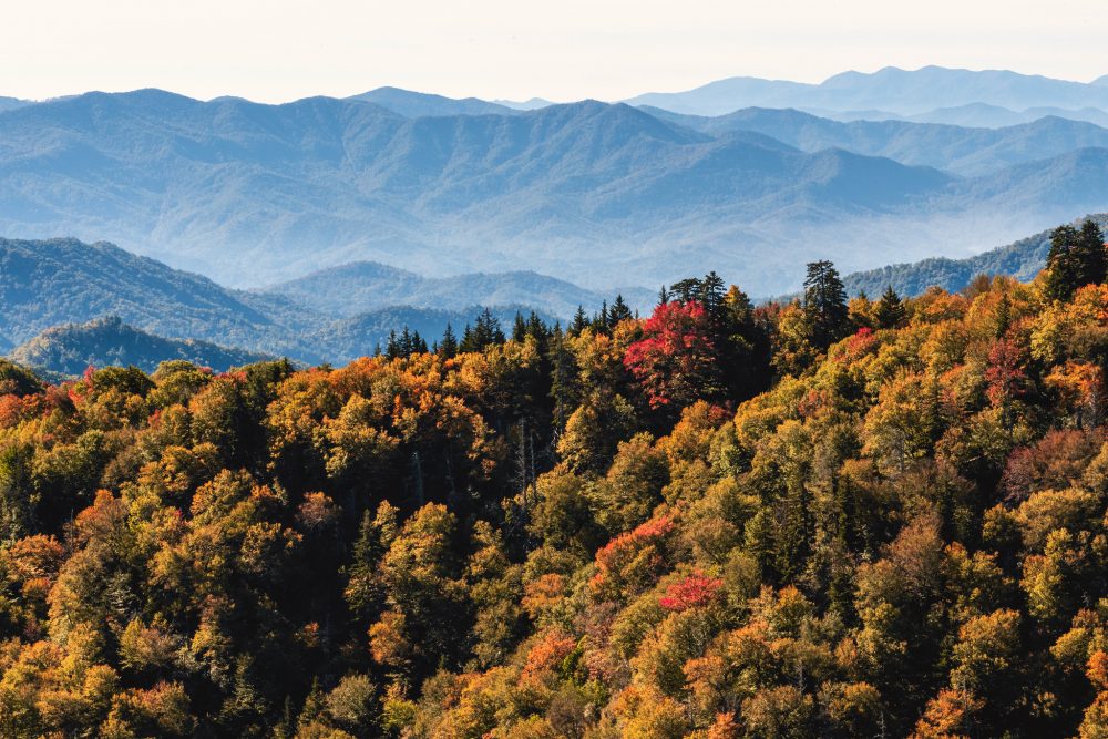 great smoky mountains in fall