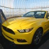 Mustang on the Empire State Building