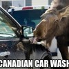 best car memes canadian car wash