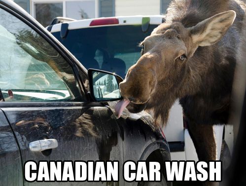 best car memes canadian car wash