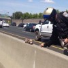 Contra Costa California Highway Patrol Rescues Chihuahua