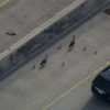 Family of Geese Shuts Down I-80 near Chicago