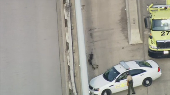 Family of Geese Shuts Down I-80 near Chicago