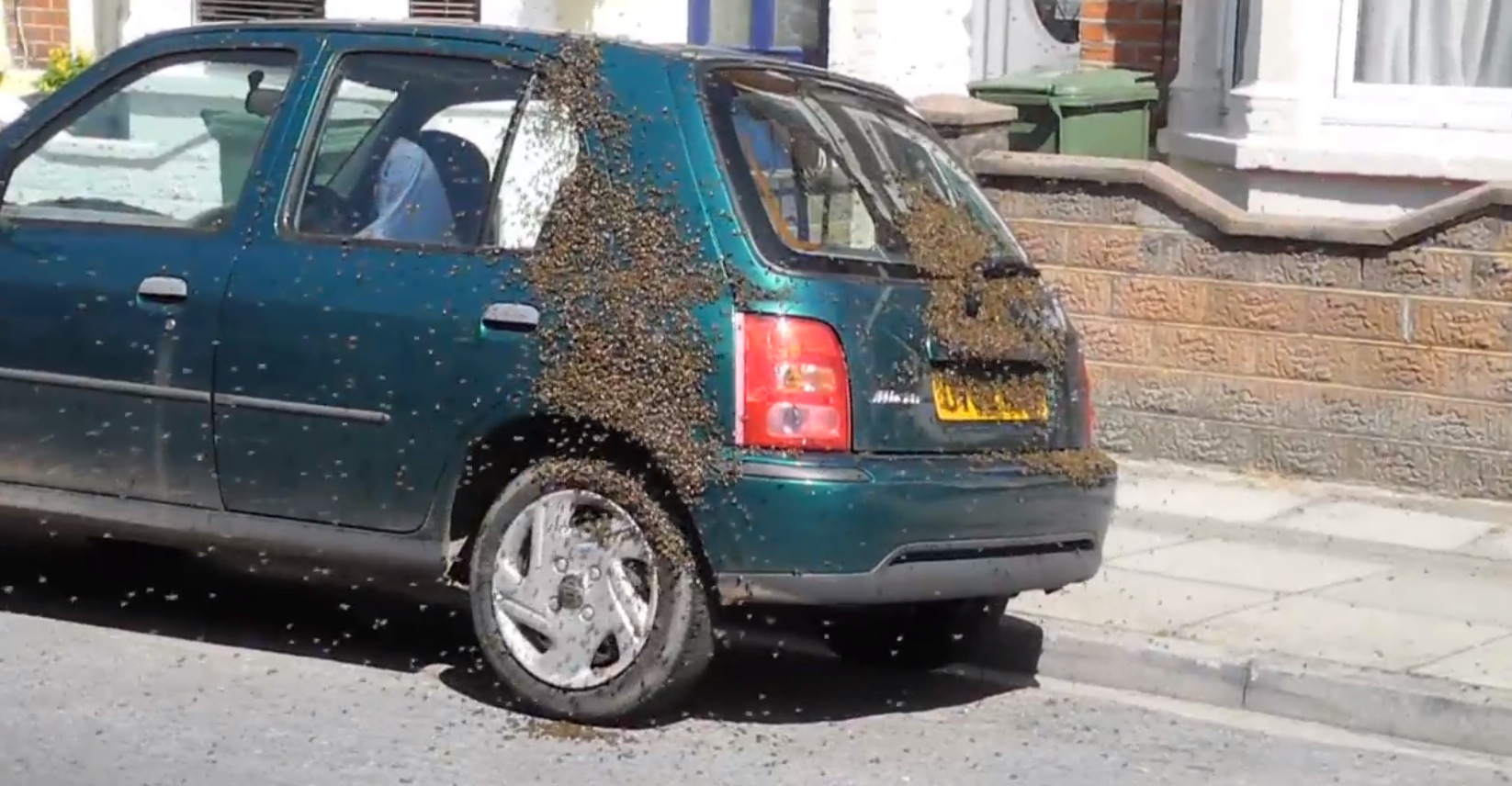 Пчелы облепили машину