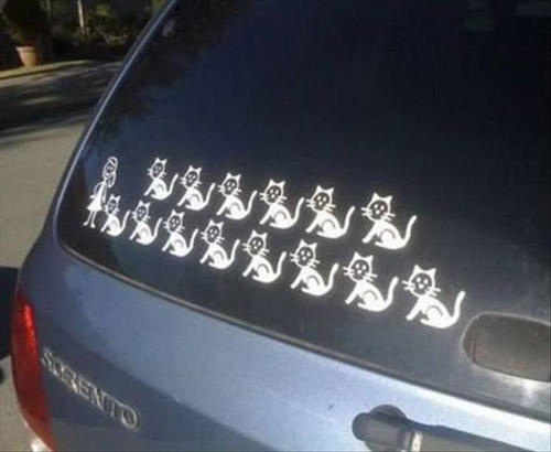 Stick Figure Cat Lady