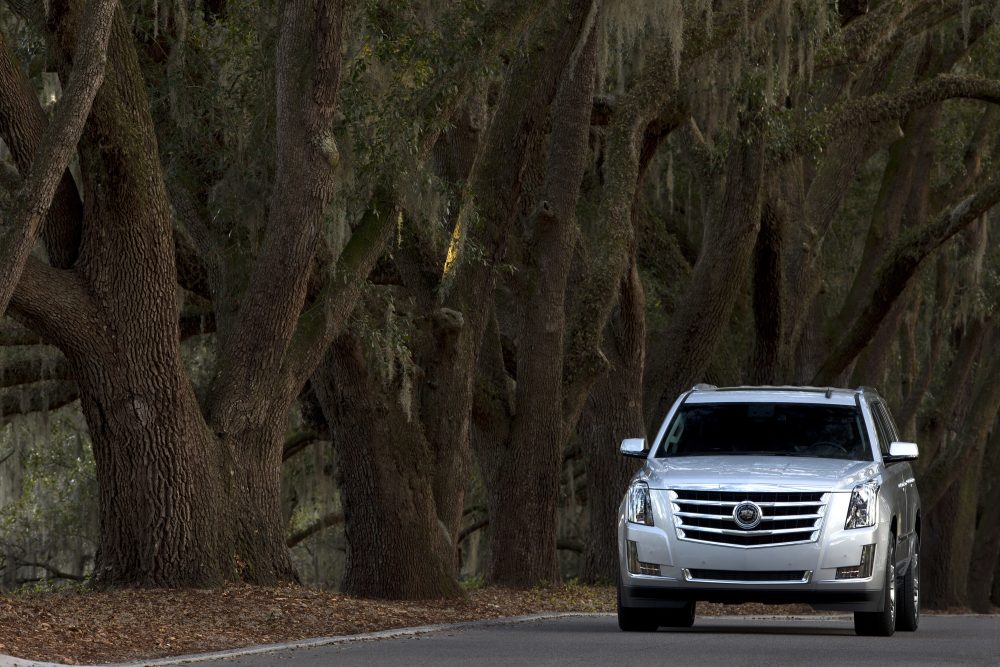 2015 Cadillac Escalade Exterior