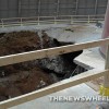 It’ll Cost $3.2 Million to Fill the National Corvette Museum Sinkhole