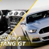 STANLEY BLACK & DECKER Ford Mustang Sweepstakes
