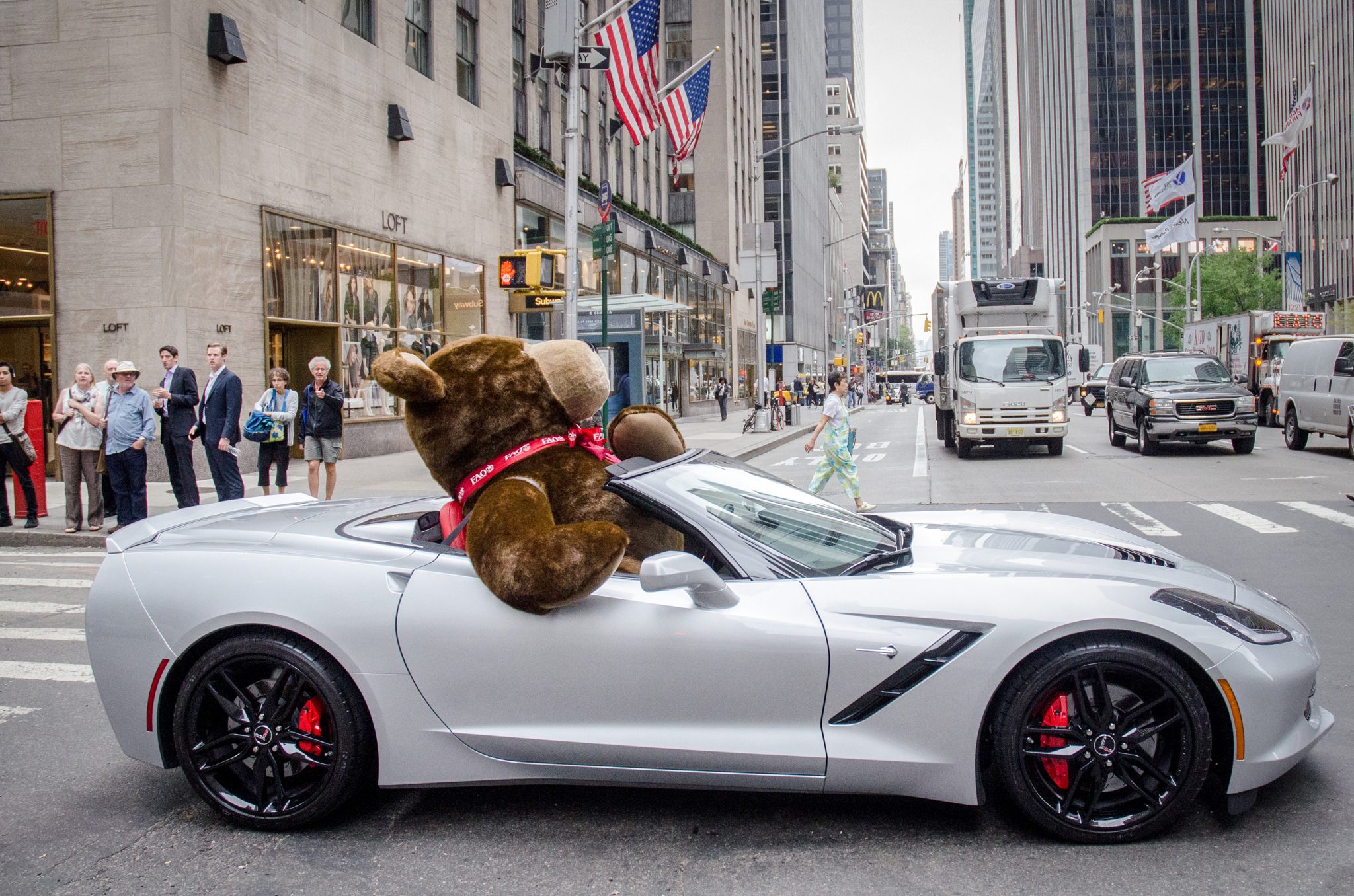 teddy bear in car