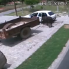 Russians Stealing a Cow with a Hatchback