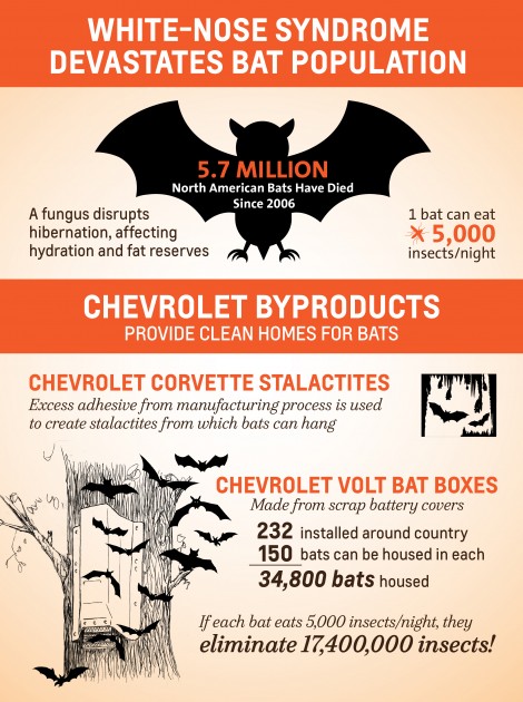 Corvette Byproducts for Artificial Bat Caves