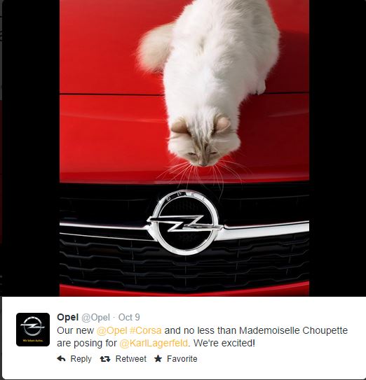 Karl Lagerfeld Cat PhotoShoot Opel Cars in Cats 1 5