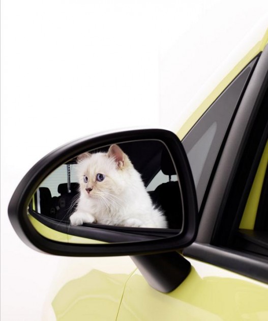 Karl Lagerfeld Opel’s 2015 Calendar Opel Cats in Cars 1 (6)