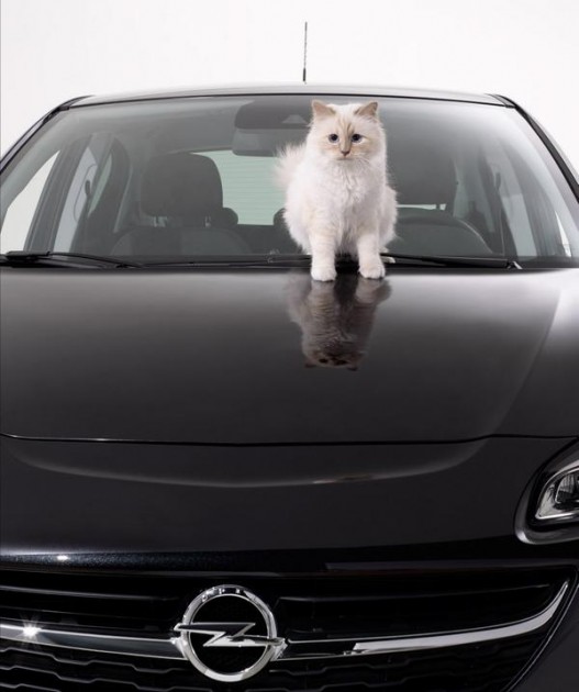 Karl Lagerfeld Opel’s 2015 Calendar Opel Cats in Cars 1 (8)