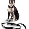 Mopar Christmas Gifts | leash and collar