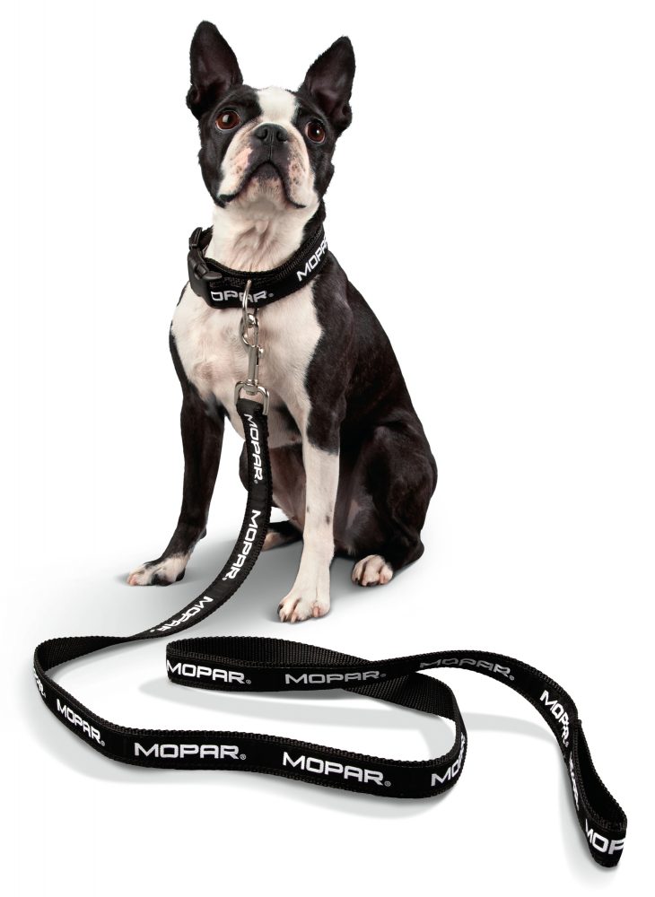 Mopar Christmas Gifts | leash and collar