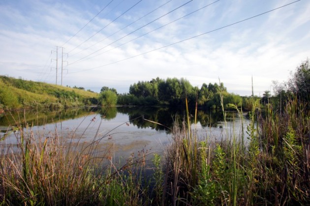 retention ponds at Toyota Mississippi