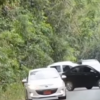 elephant sits on car