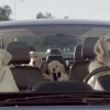 The Barkleys, from the series of Subaru dog commercials