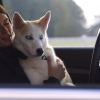 Danica Patrick and her dog ride in the 2015 Chevy Tahoe