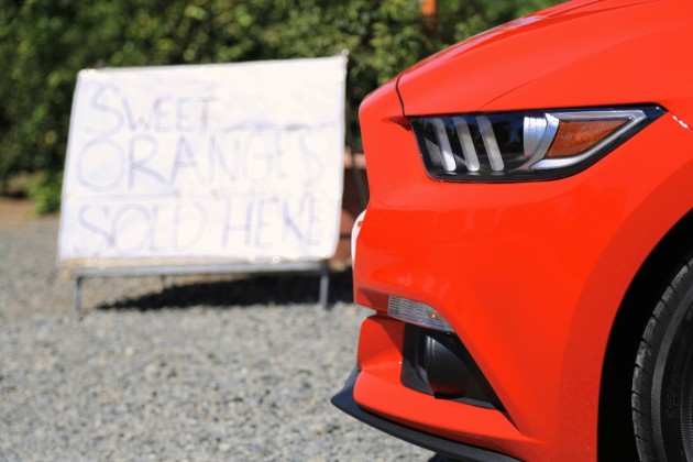 2015 Ford Mustang GT