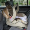 where should I install my child's car seat?