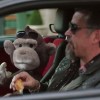 Richard Rawlings and a puppet monkey star in the new Dodge Law ads