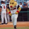 Nashville_Sounds_Mascot_Ozzie Hyundai partner for 2015 baseball season