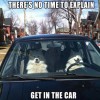 Dogs Driving meme