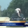 Florida Man Jumps on Cars