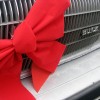 Red bow on car