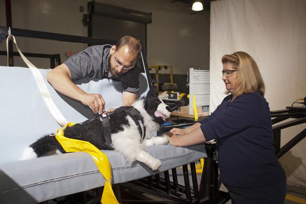 After successful harness research in 2013 with the Center for Pet Safety, Subaru is funding another round of testing for pet crates and vehicle crashes