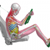 Toyota crash test dummy relaxed