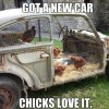 chicken coupe