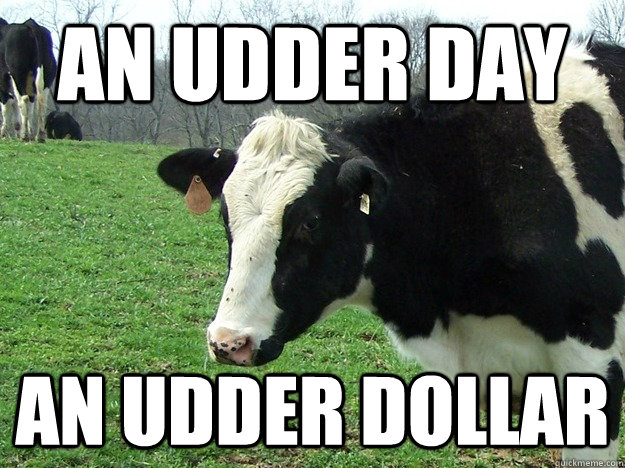 cow meme dad jokes