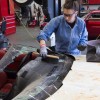 GM technicians work to restore the badly damaged 1992 C4 Corvette convertible