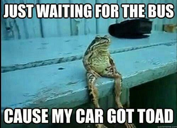 car got toad