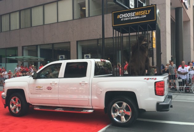 Chevy Silverado carries a bear in a steel cage