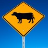 Cow sign