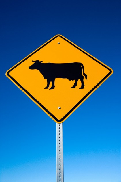 Cow sign