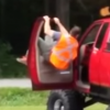 drunk guy tries to climb from bed of truck to cab video