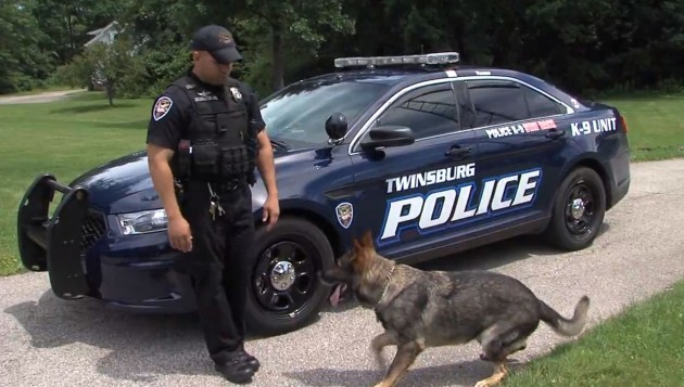 Ohio ‘No K9 Left Behind’ Program Aims to Keep Police Dogs Safe from Hot Cars