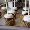 S’mores Pops/Airbags